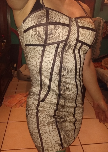 Pripe Snake Skin Bustier Bodycon Sexy Dress - Picture 10 of 12